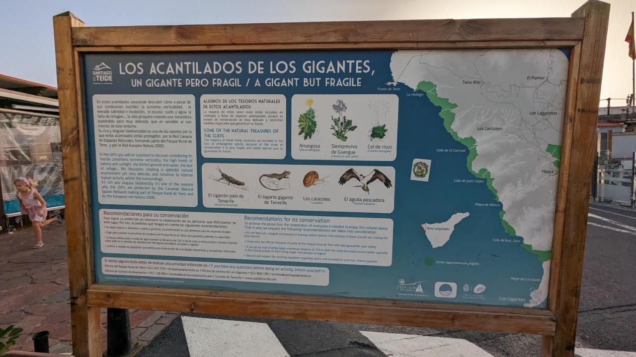 아칸티라도 Concanas - Los Gigantes Centre 아파트 외부 사진
